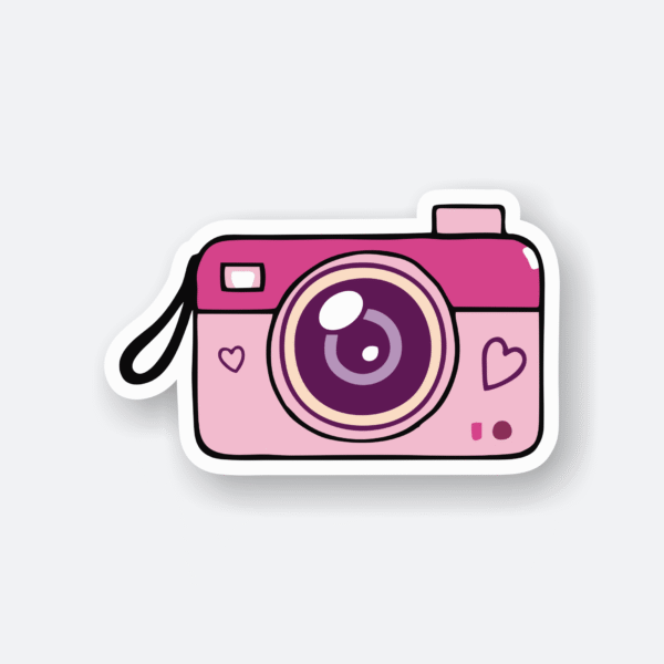 aesthetic camera sticker